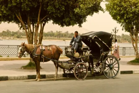 Luxor City Tour in Carrozza di 2 Ore
